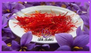قیمت زعفران پوشال در مشهد