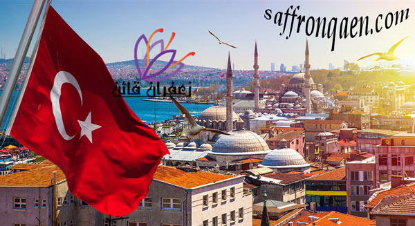  خریداران زعفران در ترکیه