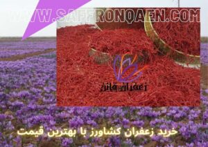 خرید زعفران کشاورز با بهترین قیمت