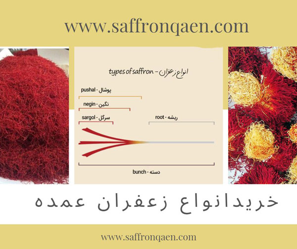 خرید زعفران عمده با مناسب ترین قیمت