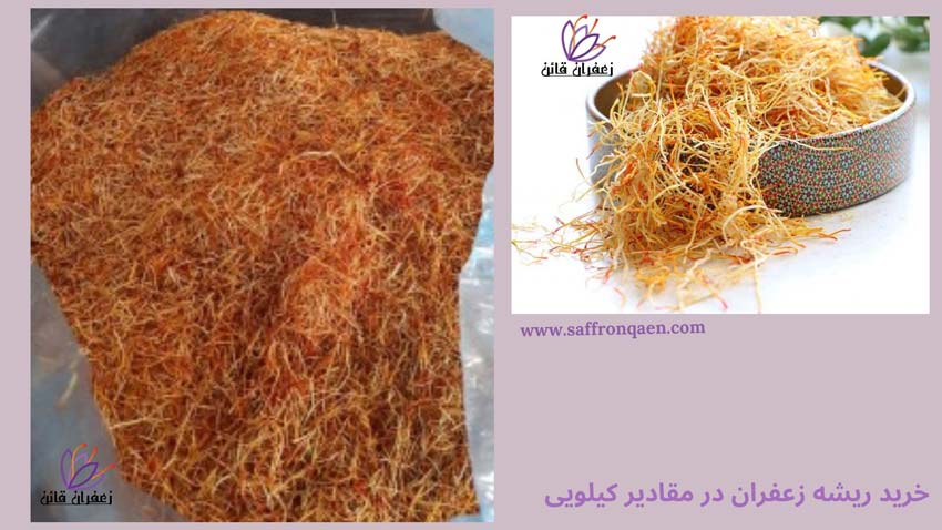 خرید ریشه سفید زعفران در مقادیر کیلویی